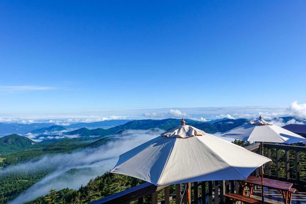 【静岡県内発】 秋色に染まる奥信州絶景ハイライト 北向観音64年ぶりの前立本尊御開帳と別所温泉食べ歩き 2日間3